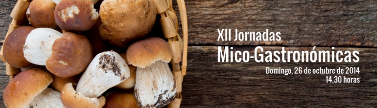 XII Jornadas Mico-Gastronómicas